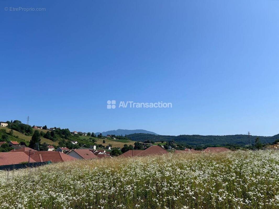 Terrain à BELLEY