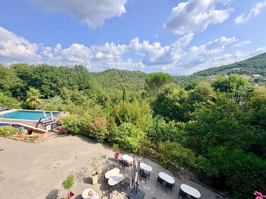 Maison à Propriété d’exception de 500 m² – Maison de famille ou domaine d'accueil (Gîtes & Chambres d'Hôtes) - photo 3
