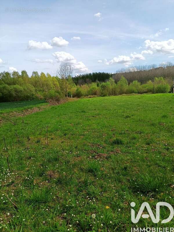 Photo 3 - Terrain à VUILLERY