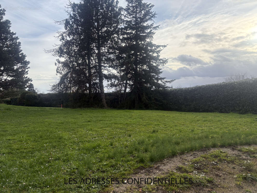 Terrain à SAINT-DIDIER-AU-MONT-D'OR