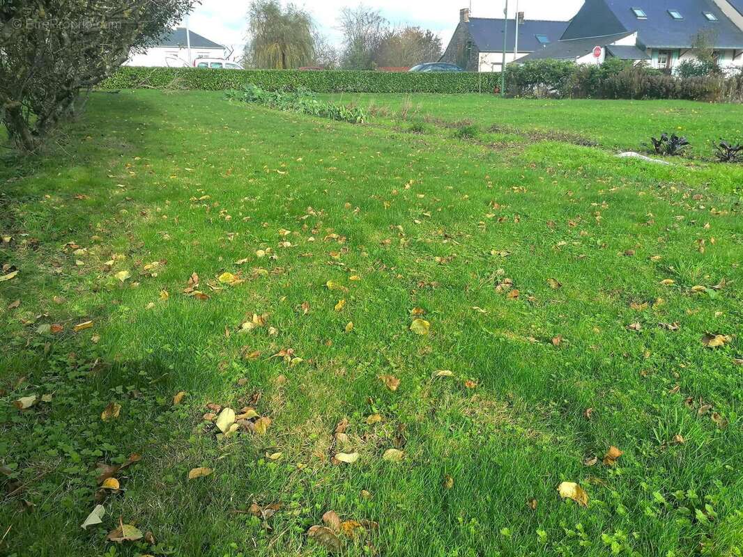 Photo 2 - Terrain à LUSANGER