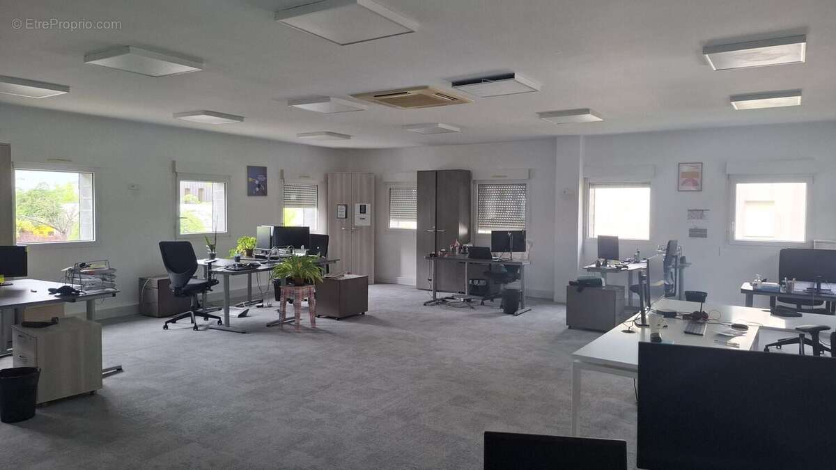 Commerce 400 m² à Saint-Cyr-Sur-Loire  - photo 3