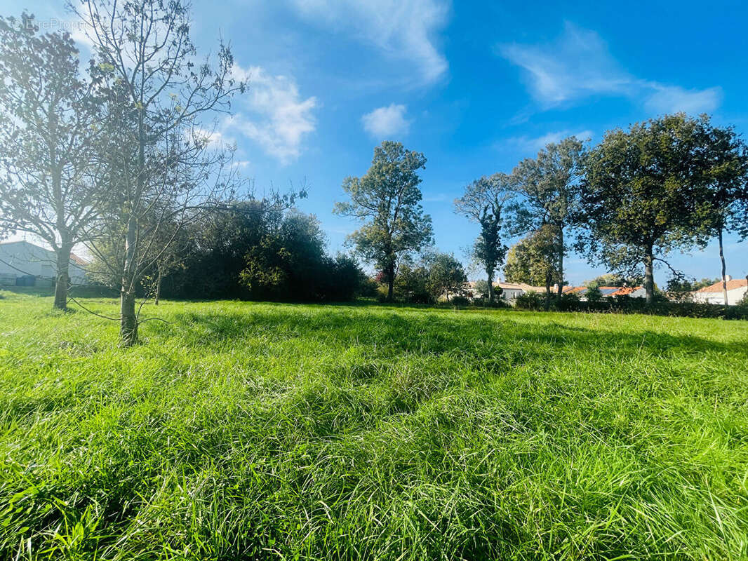 Terrain à COMMEQUIERS