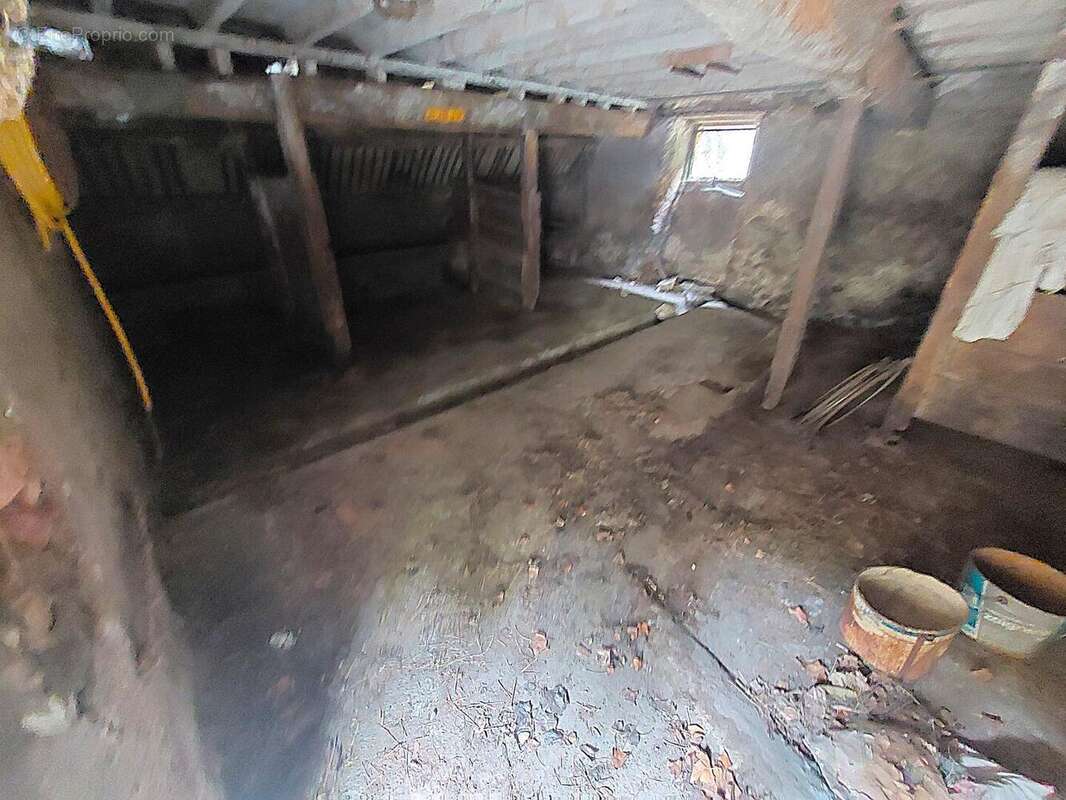 20250623114228 - Maison à SAINT-MARTORY