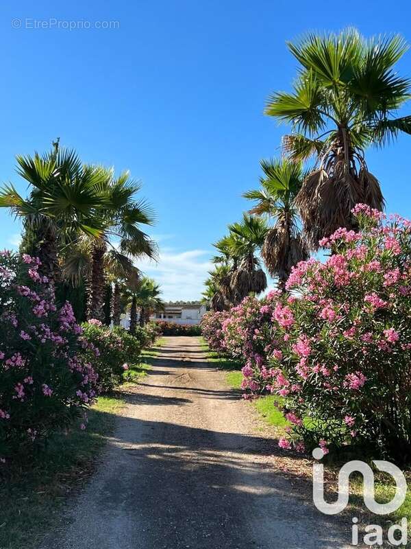 Photo 3 - Maison à PIGNAN