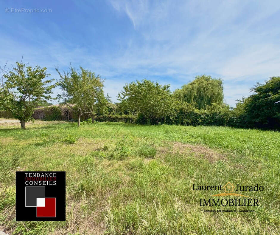 Terrain à MONTMERLE-SUR-SAONE