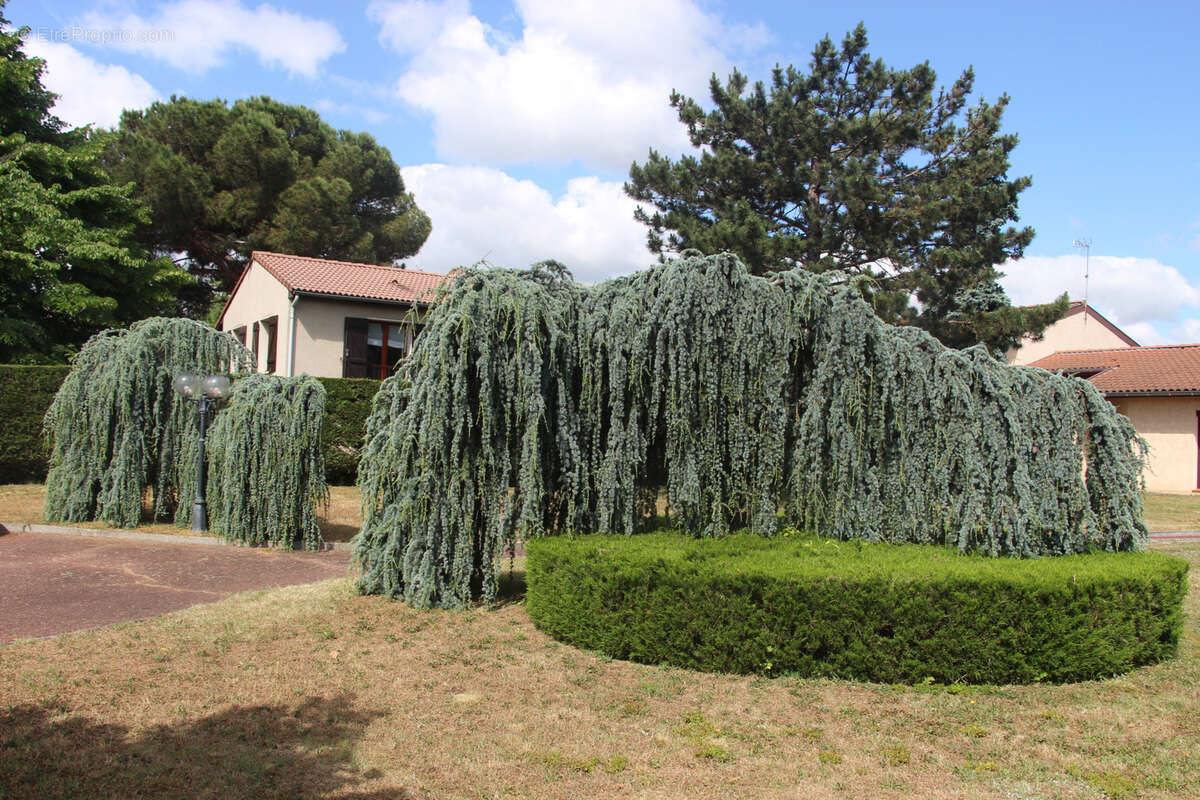 Terrain à AUCAMVILLE