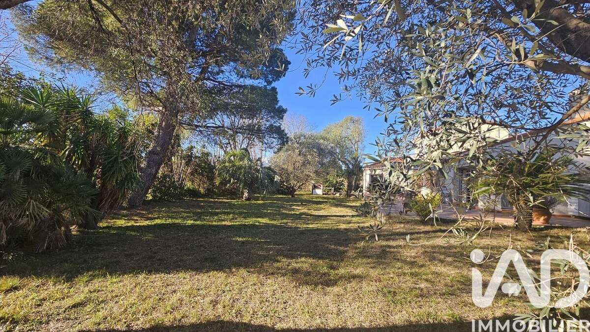 Photo 4 - Maison à MILLAS