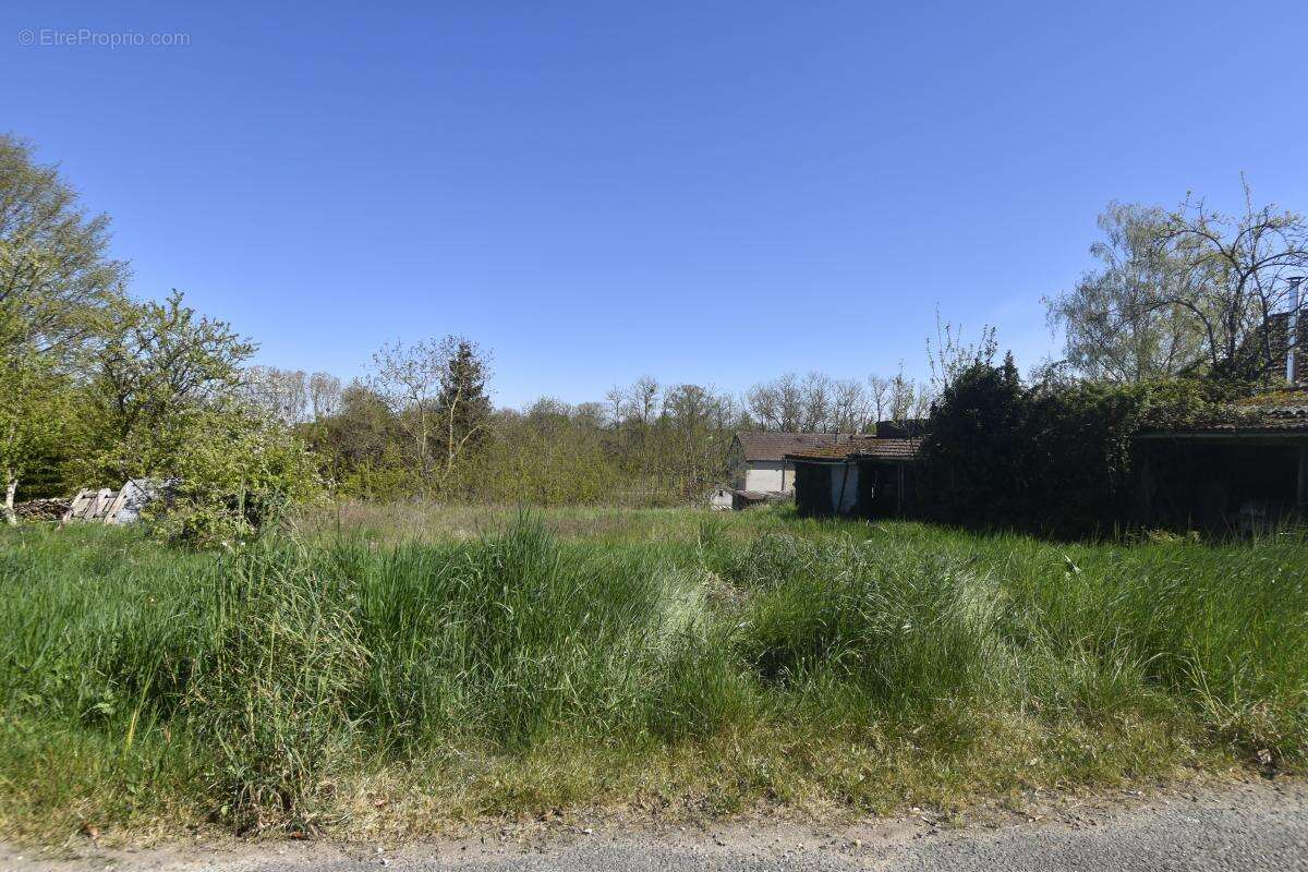 Terrain à BANNAY