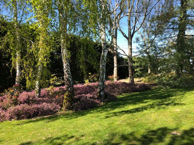 Propriété avec piscine à 2 pas de la Loire sur un parc arboré de 8900 m² à Germigny Des Prés - photo 13