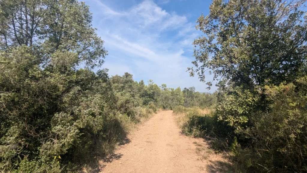 CARCES - Terrain 22.234m² en zone Naturelle - photo 2