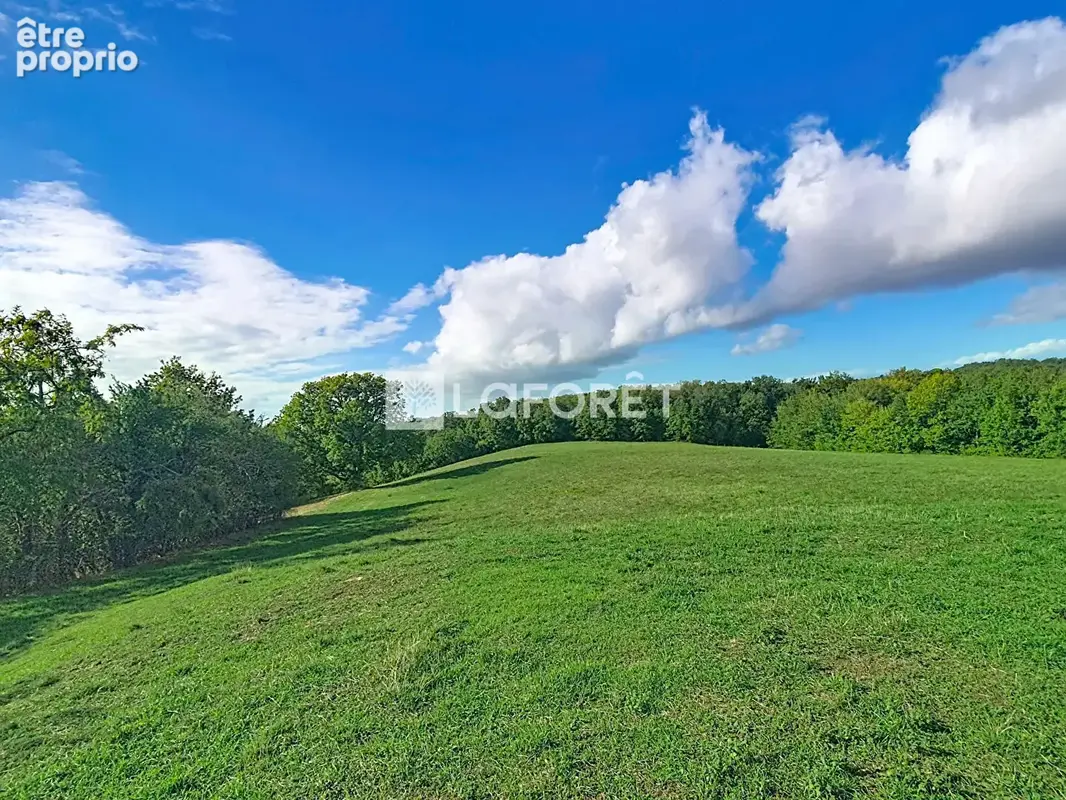 Propriété de 116 hectares !!!  20 minutes Est de Montauban - photo 6