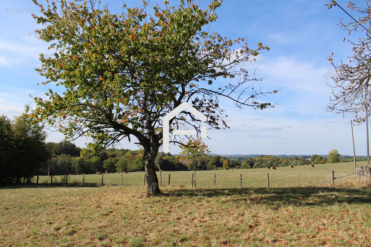 Terrain à UZERCHE