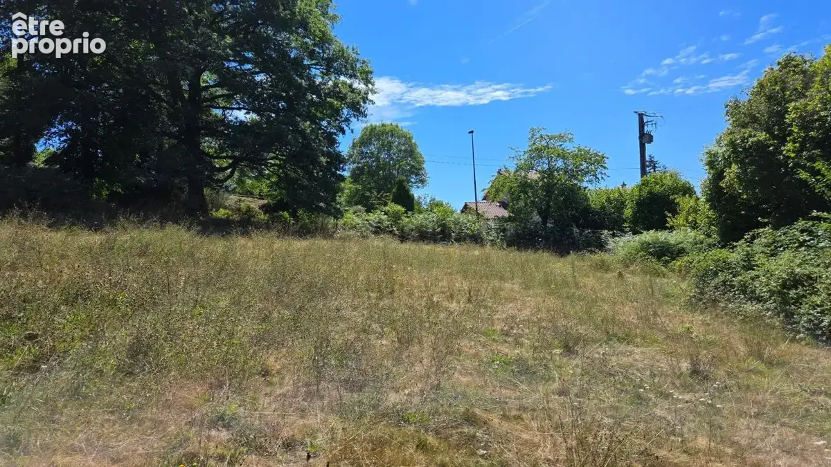 Terrain constructible  + agricole - environnement campagne - photo 7