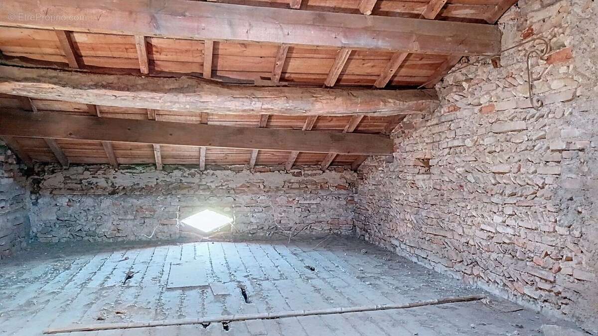 Photo 9 - Maison à ALBI