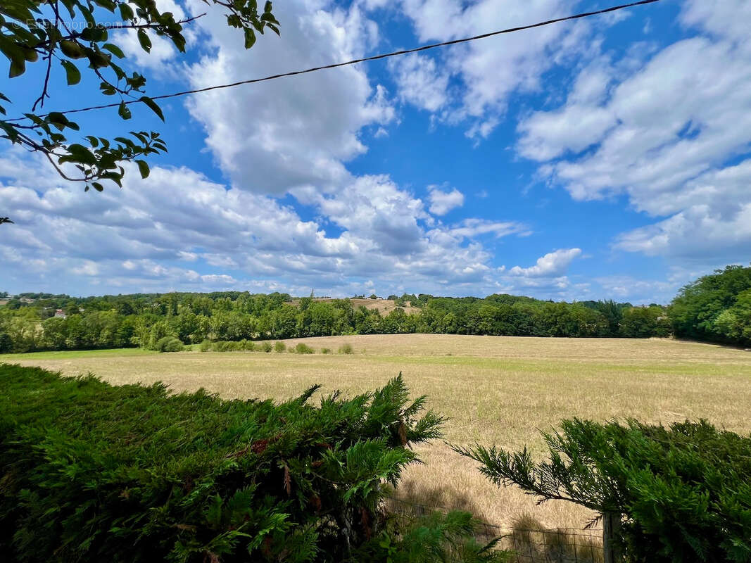 Secteur Villeneuve sur Lot, à la campagne sans aucun vis-à-vis, cette maison pleine de charme et de caractère avec son pigeonnie - photo 15