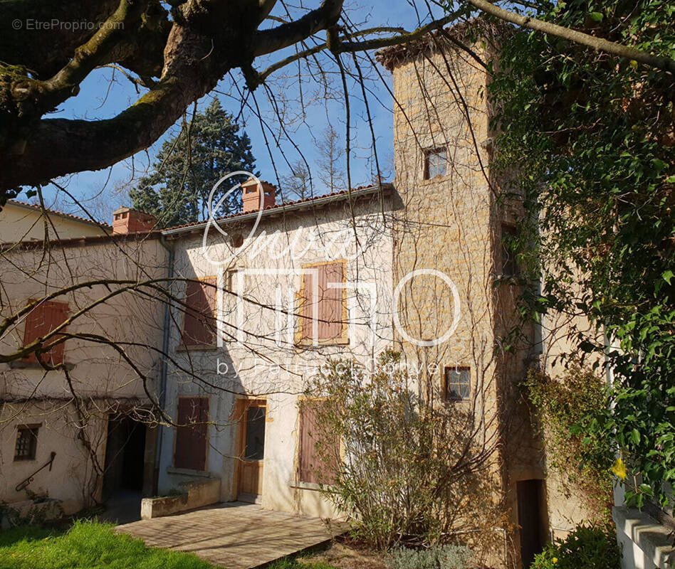 Maison à COLLONGES-AU-MONT-D&#039;OR