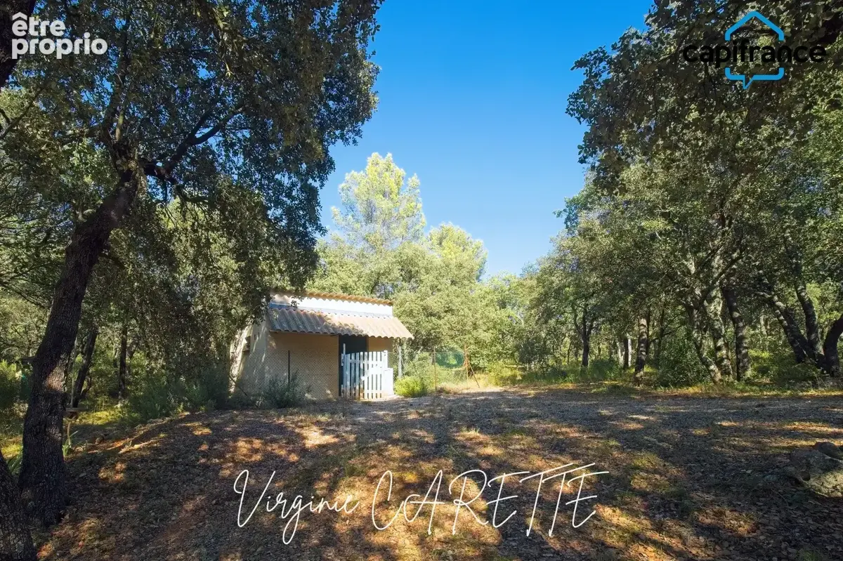 Propriété: 2 maisons sur 4 hectares en position dominante - photo 5