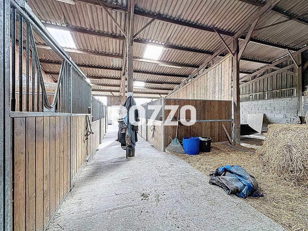 Maison + haras sur 11 ha avec piste, barn, 22 boxes, rond de longe, paddocks et herbage, vue Mt St Michel - photo 17
