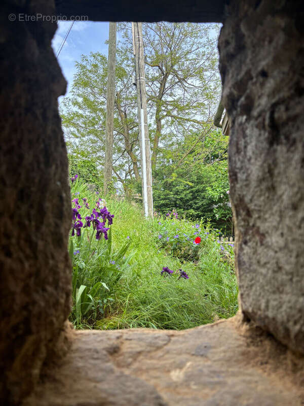 Maison à COLOMBIER-LE-JEUNE