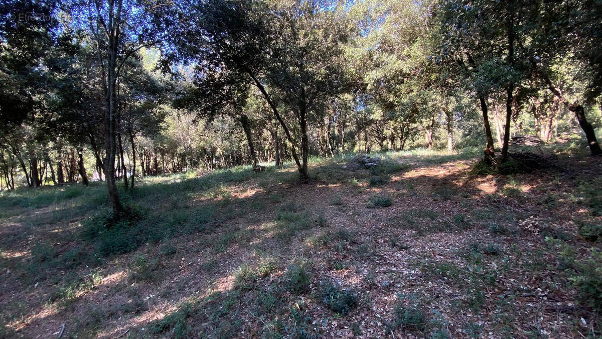 Terrain à BIOT