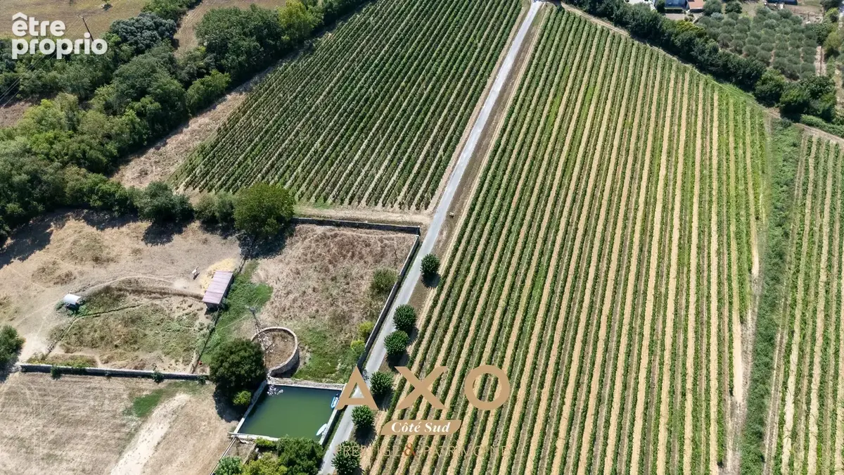 Asperes - domaine viticole - 60 hectares - 13 pieces - 875 m² - 3 900 000  - photo 2