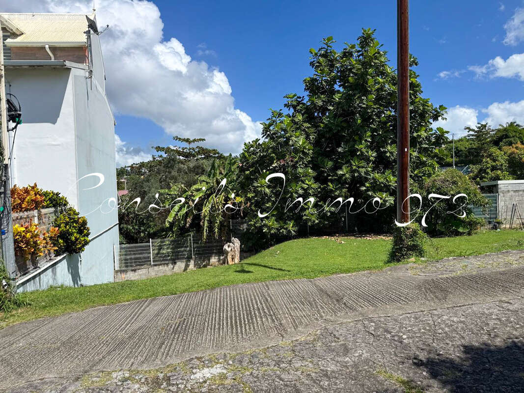 Terrain à SCHOELCHER