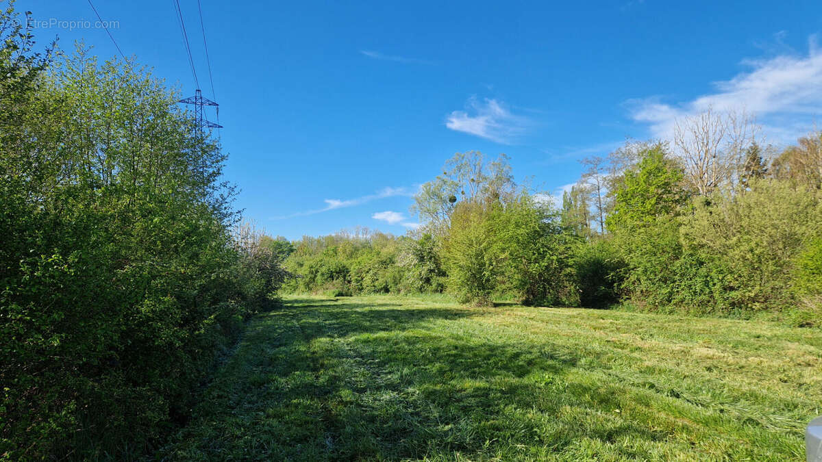 Terrain à MAINTENON