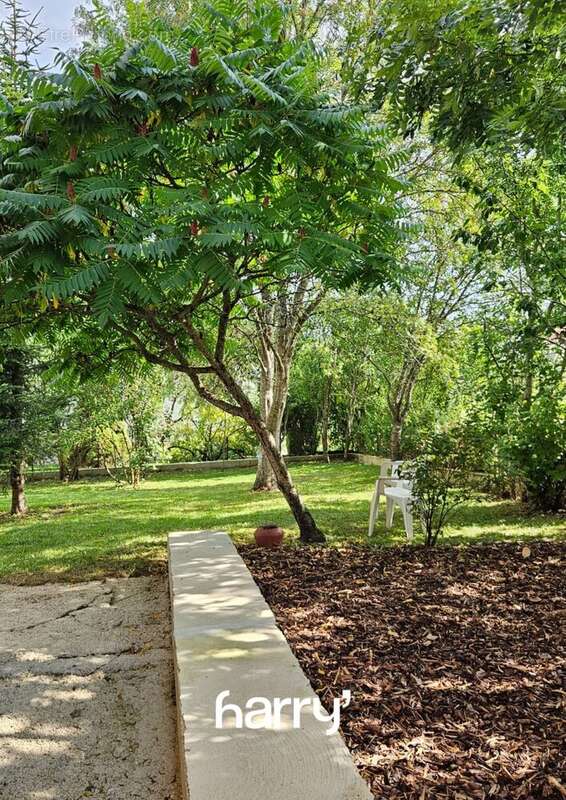 Maison à OYE-ET-PALLET