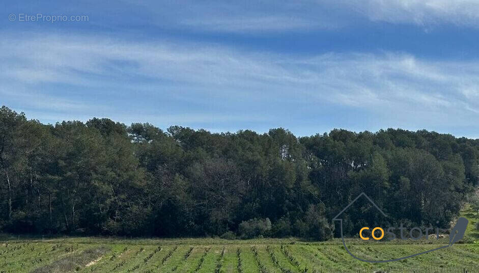 Terrain à TRANS-EN-PROVENCE