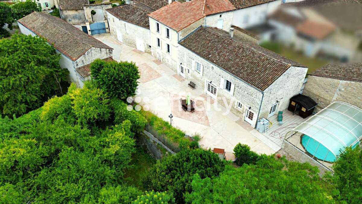 Maison 355 m² à Asnieres-Sur-Nouere  - photo 5
