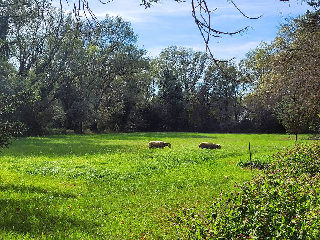 Maison à FONTVIEILLE
