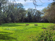 Maison à FONTVIEILLE