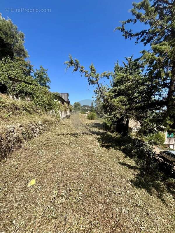 Terrain à GORBIO