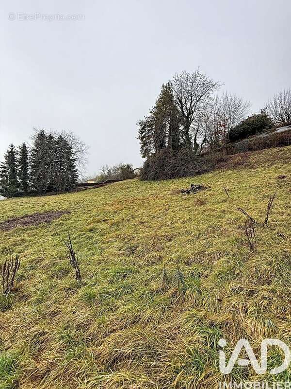 Photo 3 - Terrain à LANCRANS