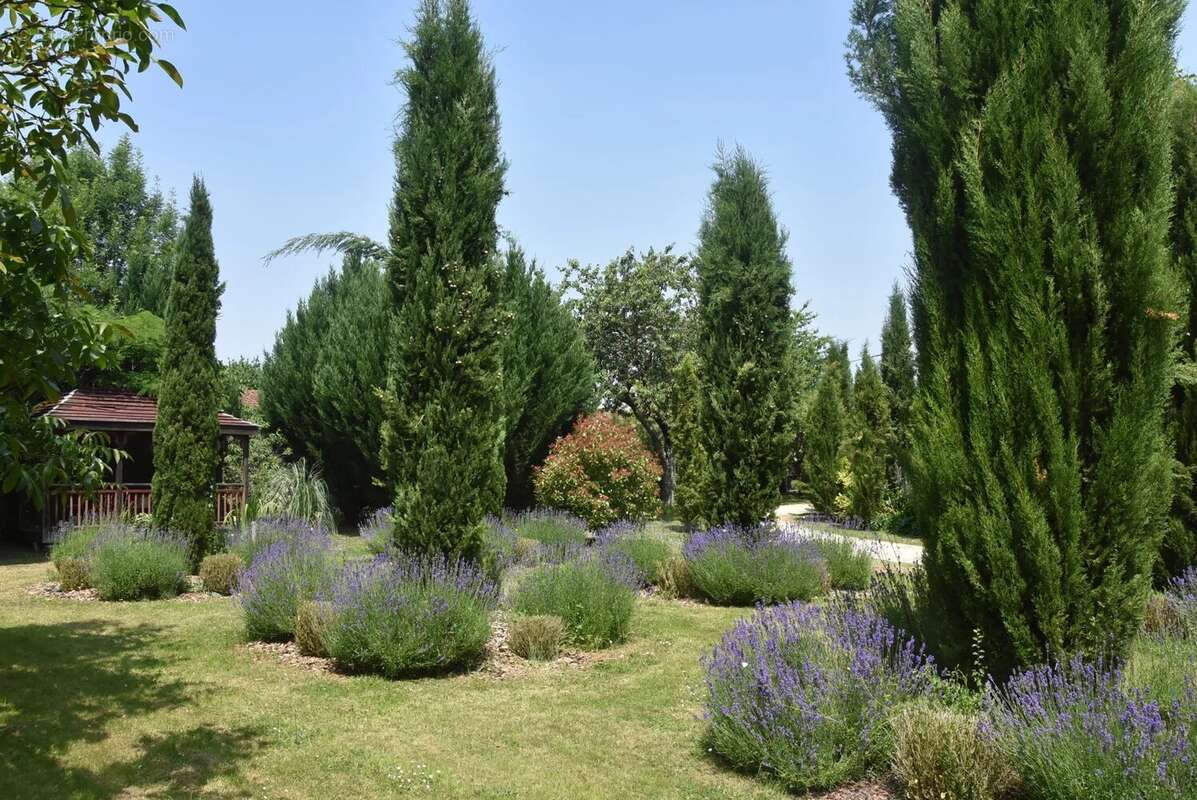 Domaine d’exception avec Maison de Maître, maisons d’amis et piscine - photo 15