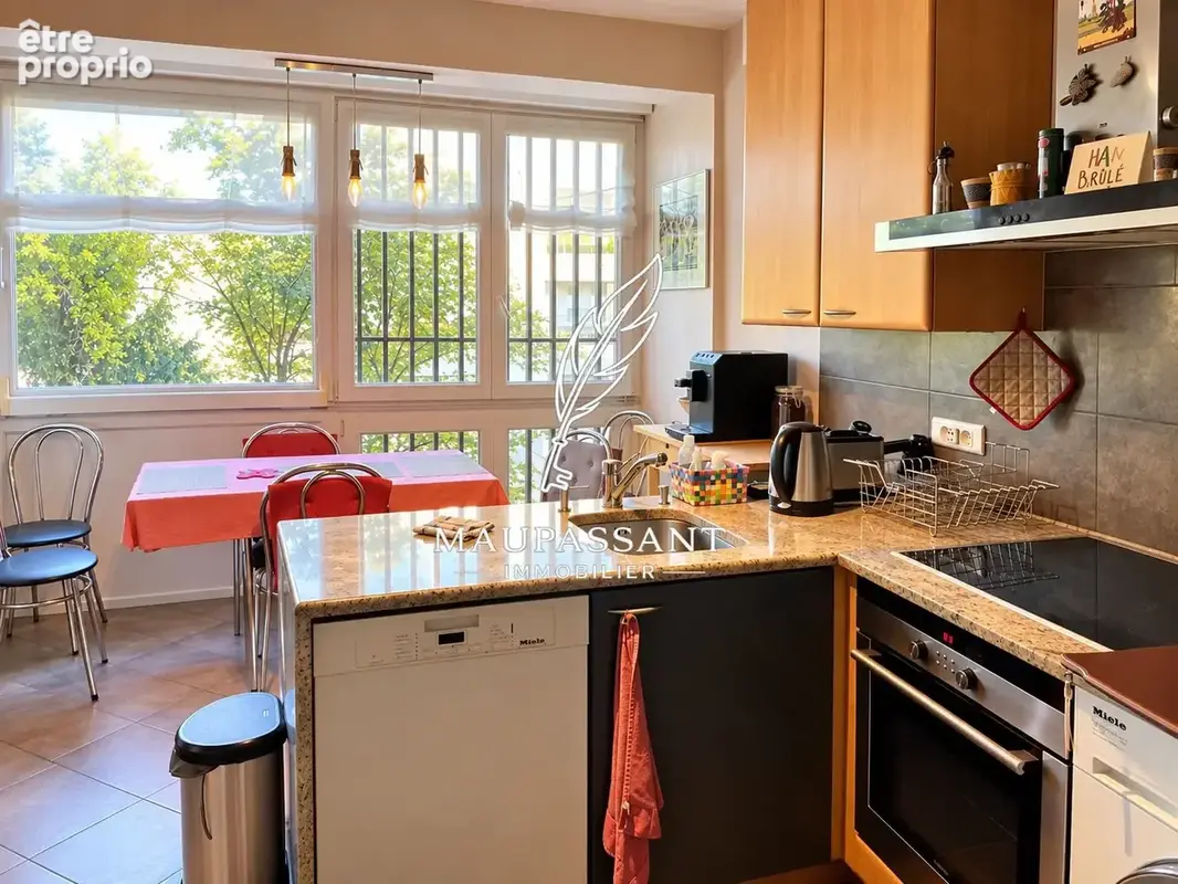 Appartement 4 pièces 100 m² à vendre à Mulhouse (68100) - photo 4