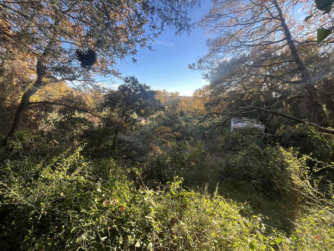 Terrain à SAINT-MAXIMIN