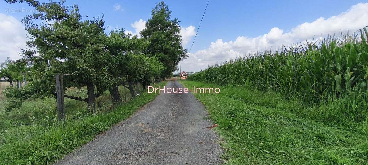 Maison 126 m² à Lamonzie-Saint-Martin  - photo 10