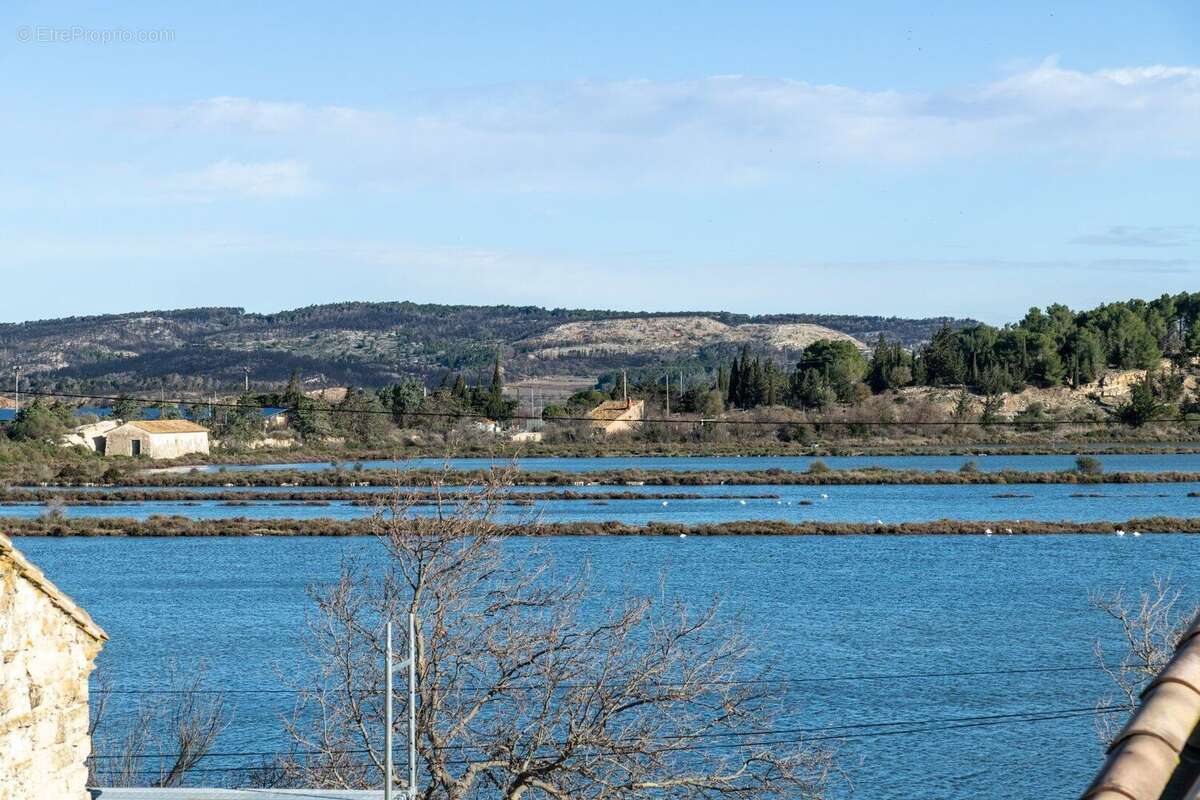 A Peyriac de mer,  maison + appartement, vue étangs. - photo 18