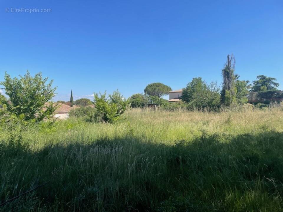 Terrain à PELISSANNE