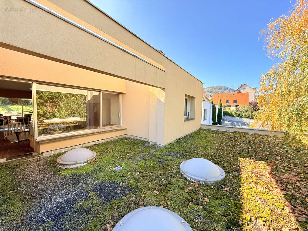 Maison à RIBEAUVILLE