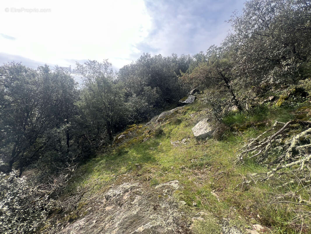 Terrain à SAINT-PERAY