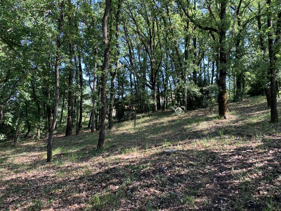 Photo 6 - Terrain à ALBI