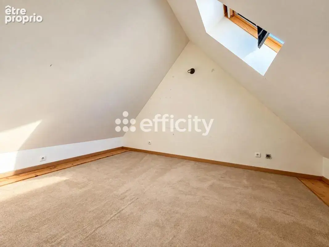 Duplex/Triplex - photo 11