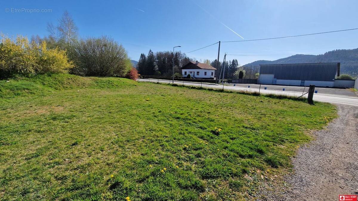 Terrain à SAINT-AME