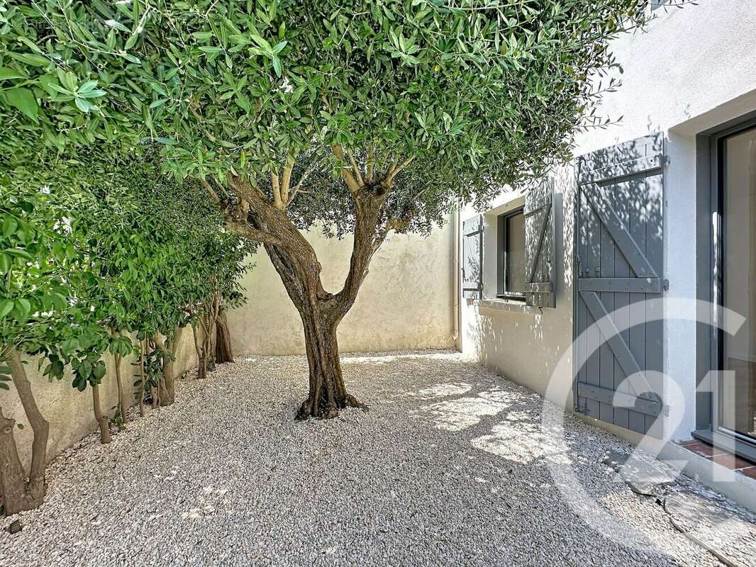 Photo 3 - Maison à MONTPELLIER