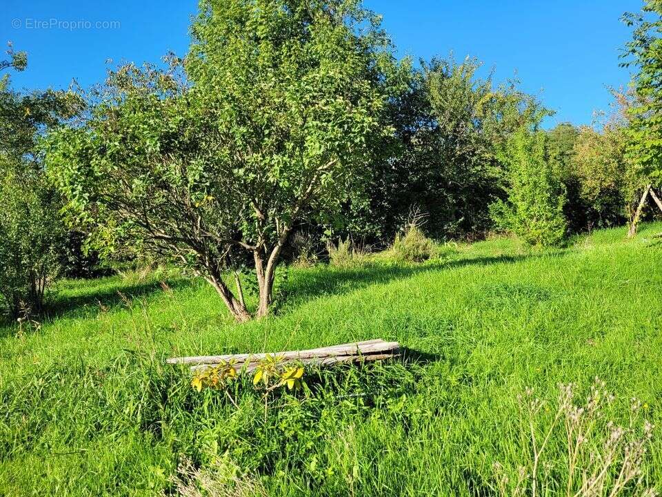 Maison de campagne - photo 3