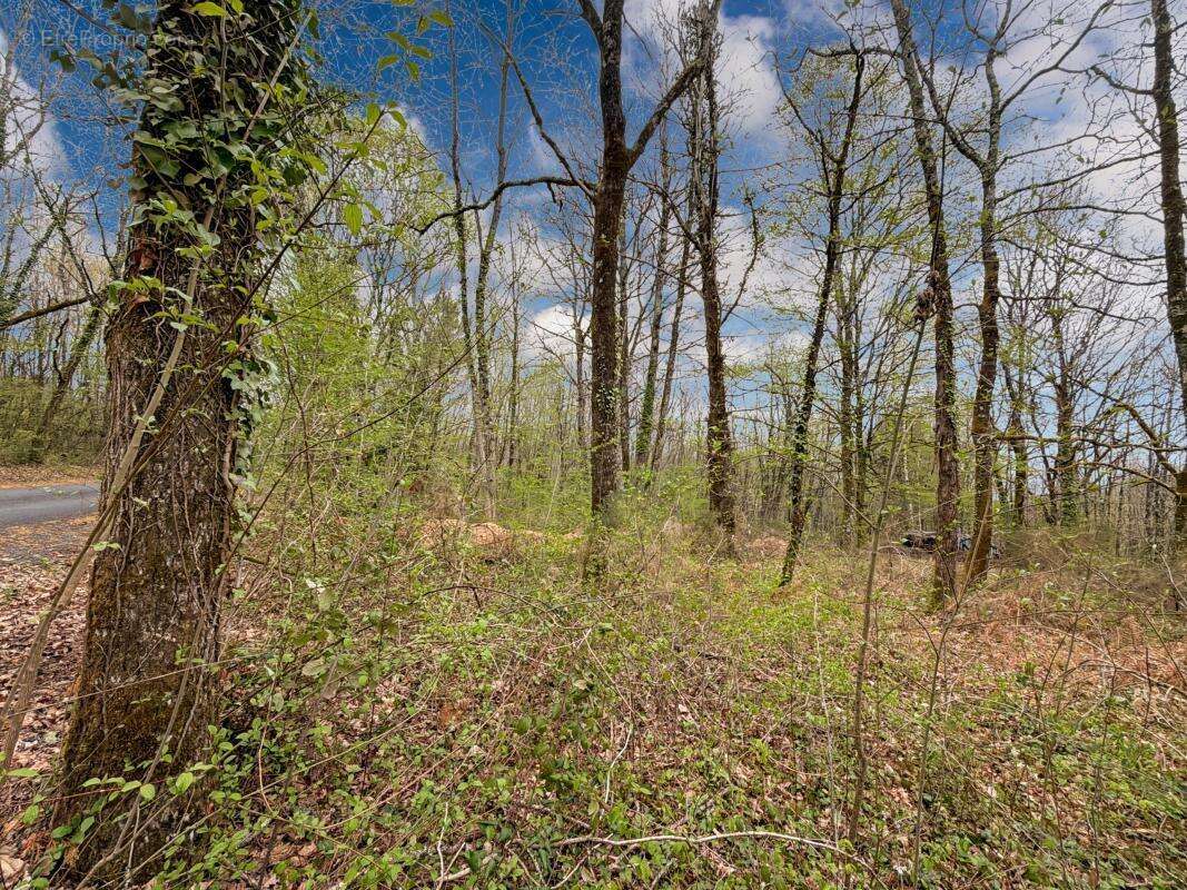 Terrain à SARLIAC-SUR-L'ISLE