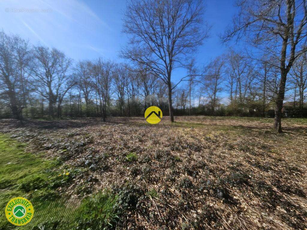 Terrain à LA GUERCHE-SUR-L'AUBOIS
